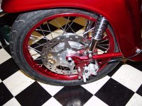 schwalbe 2.JPG
