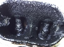 1233-1-1024x756 (1).jpg