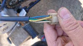 DSC_1135.JPG