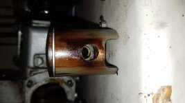 20200402_154446.jpg