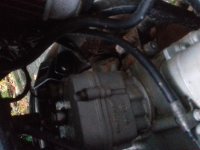 20201110_075842.jpg