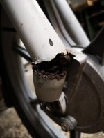 IMG_20201208_170542.jpg
