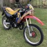Castor52