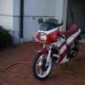 rosi71