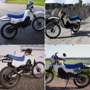 freebiker