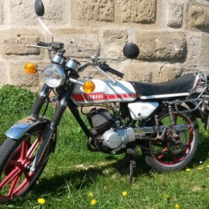 SD13