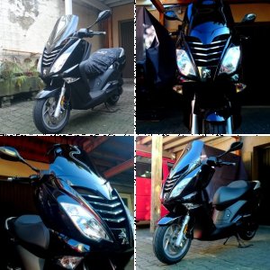 Baerle40