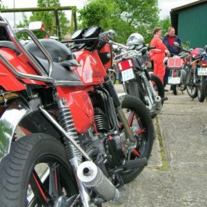 meine gts