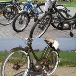 Triumphknirps
