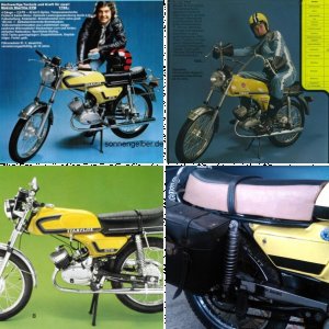 Dingo80