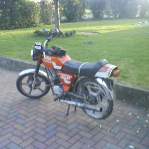 KTM MSS 50.jpg