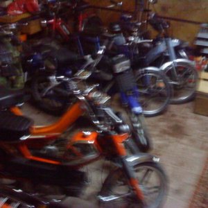 DSC00729.jpg
