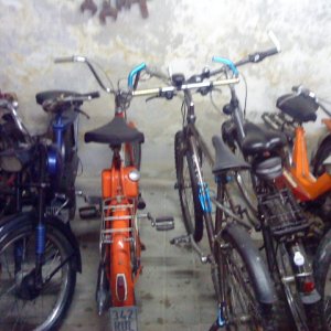 DSC00864.jpg