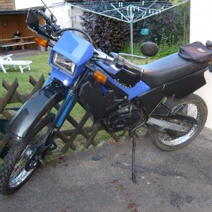 meine Yamaha DT 50 R - Bj. 1991.jpg