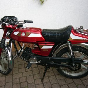 Mein PUCH RACING MOFA.jpg