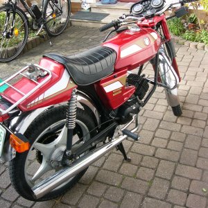 Mein PUCH RACING MOFA.jpg