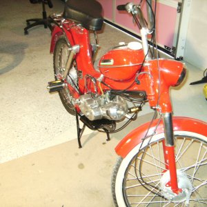BILD0332.jpg