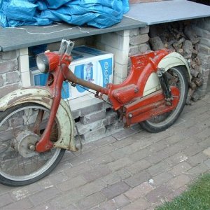 Falconette 438 - ben 3.jpg