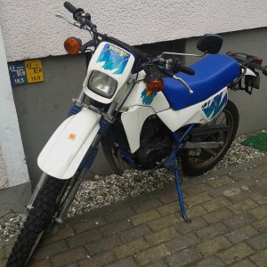 Meine Suzuki.jpg