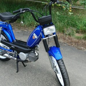 Prima5.jpg