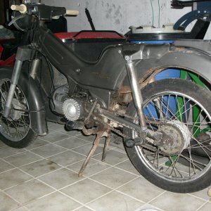 CIMG0534.jpg