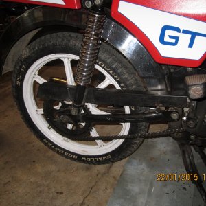 IMG 17251.jpg