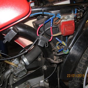 IMG 17342.jpg