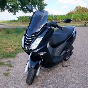 Mein Peugeot Citystar.jpg