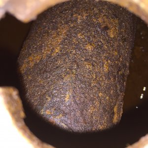 IMG 3656.jpg