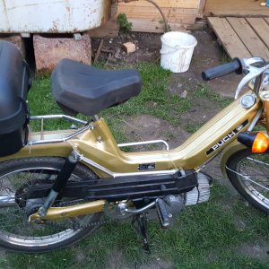 Puch Maxi S gold.jpg