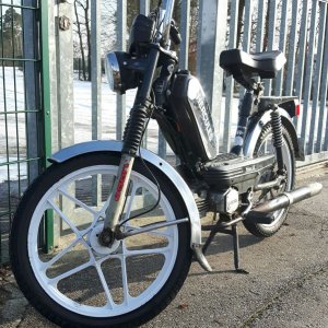 Meine Hercules Prima 5s.jpg