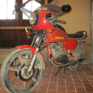 mini IMG 02.jpg