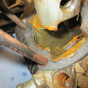 mini IMG 1069.jpg