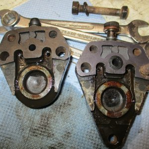mini IMG 1296.jpg