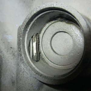 mini IMG 1439.jpg
