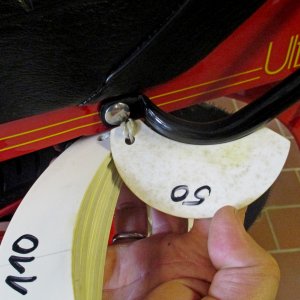 mini IMG 1954.jpg