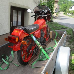 mini IMG 2014.jpg