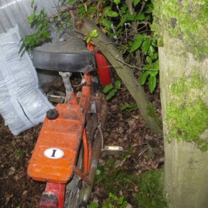 IMG 20180830 052637.jpg