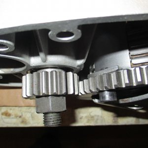 mini IMG 2809.jpg