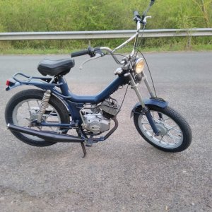Romeo 20.04.2020.jpg