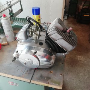 Malanca testa rossa 50cc, neu aus altem Bestand.jpg