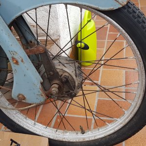 Amazone Restauration.jpg