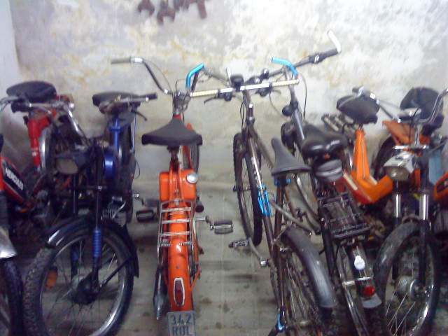 DSC00864.jpg