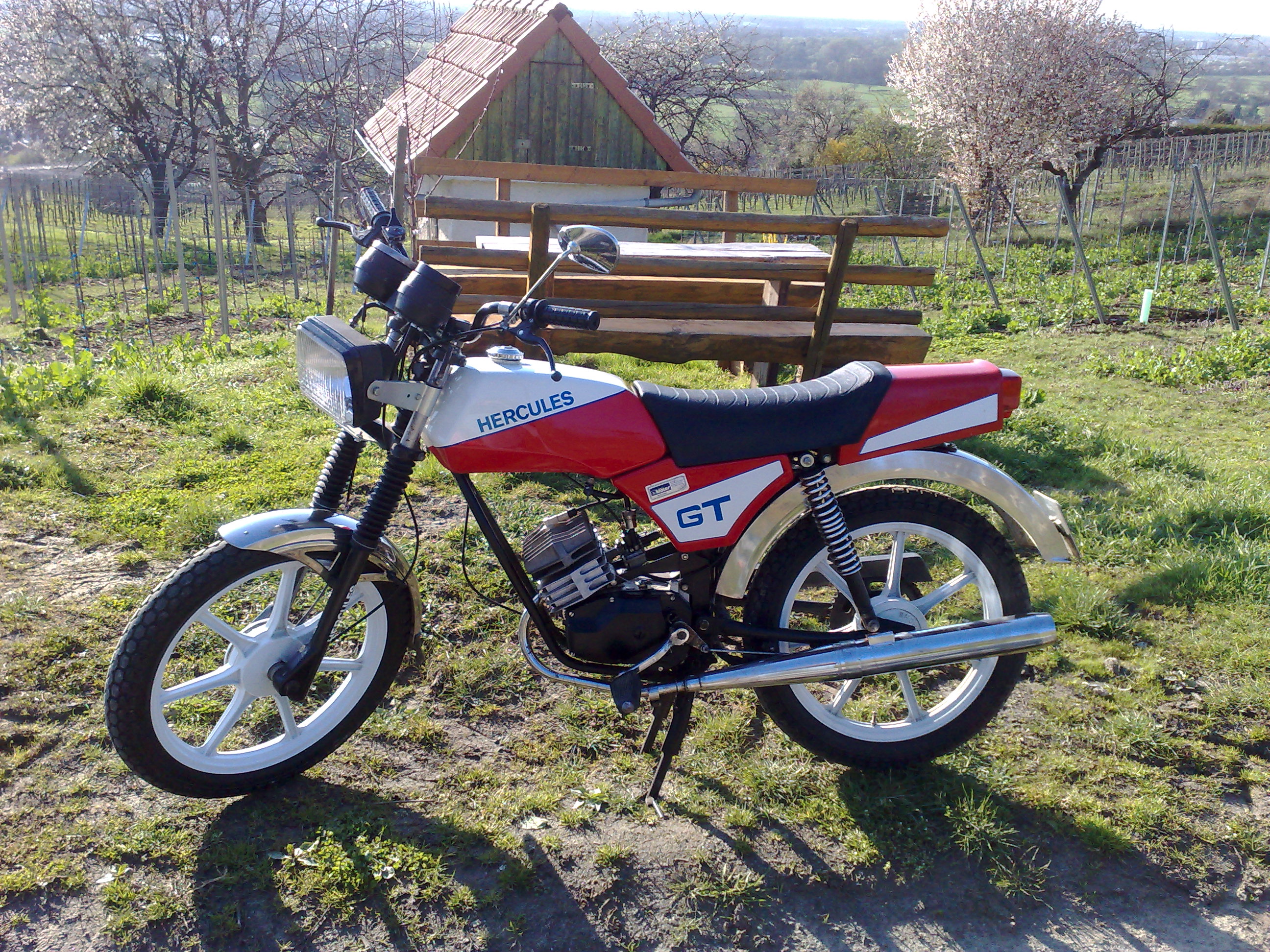 Hercules GT (1990).jpg