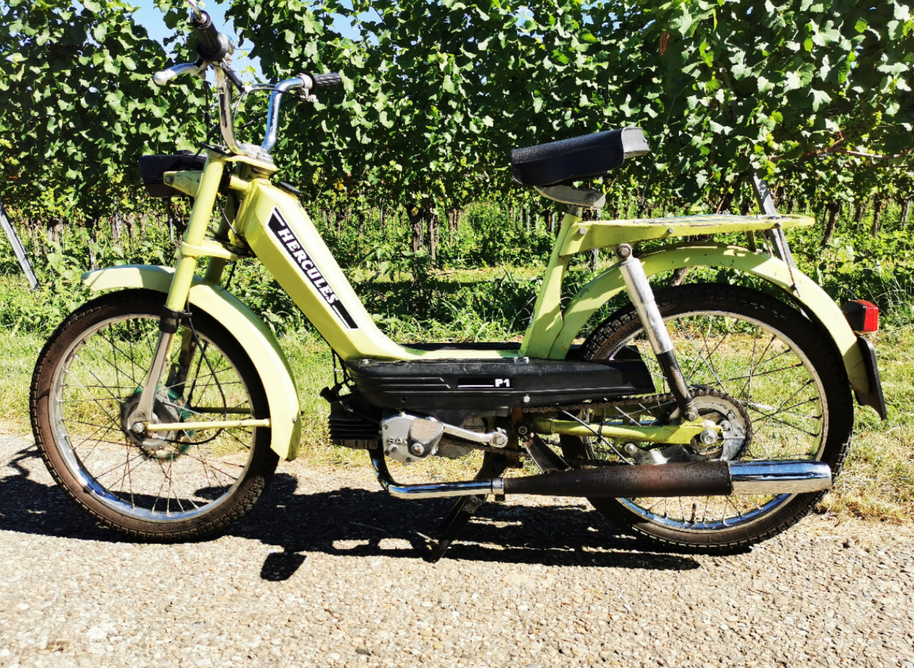 Hercules P1 Baujahr 1975.png