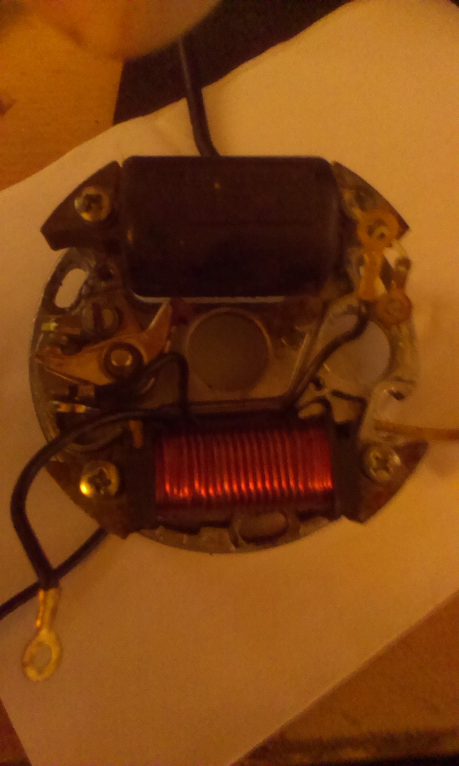 IMAG0386.jpg