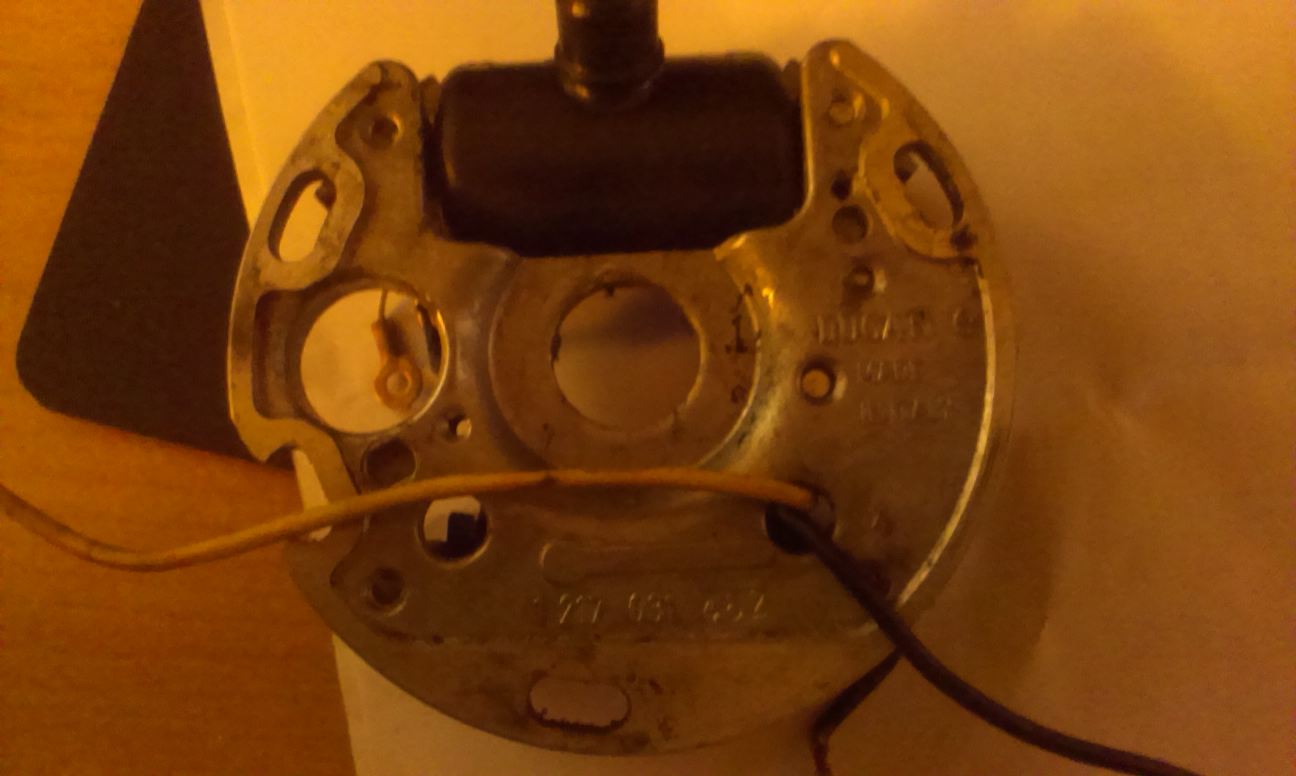 IMAG0387.jpg