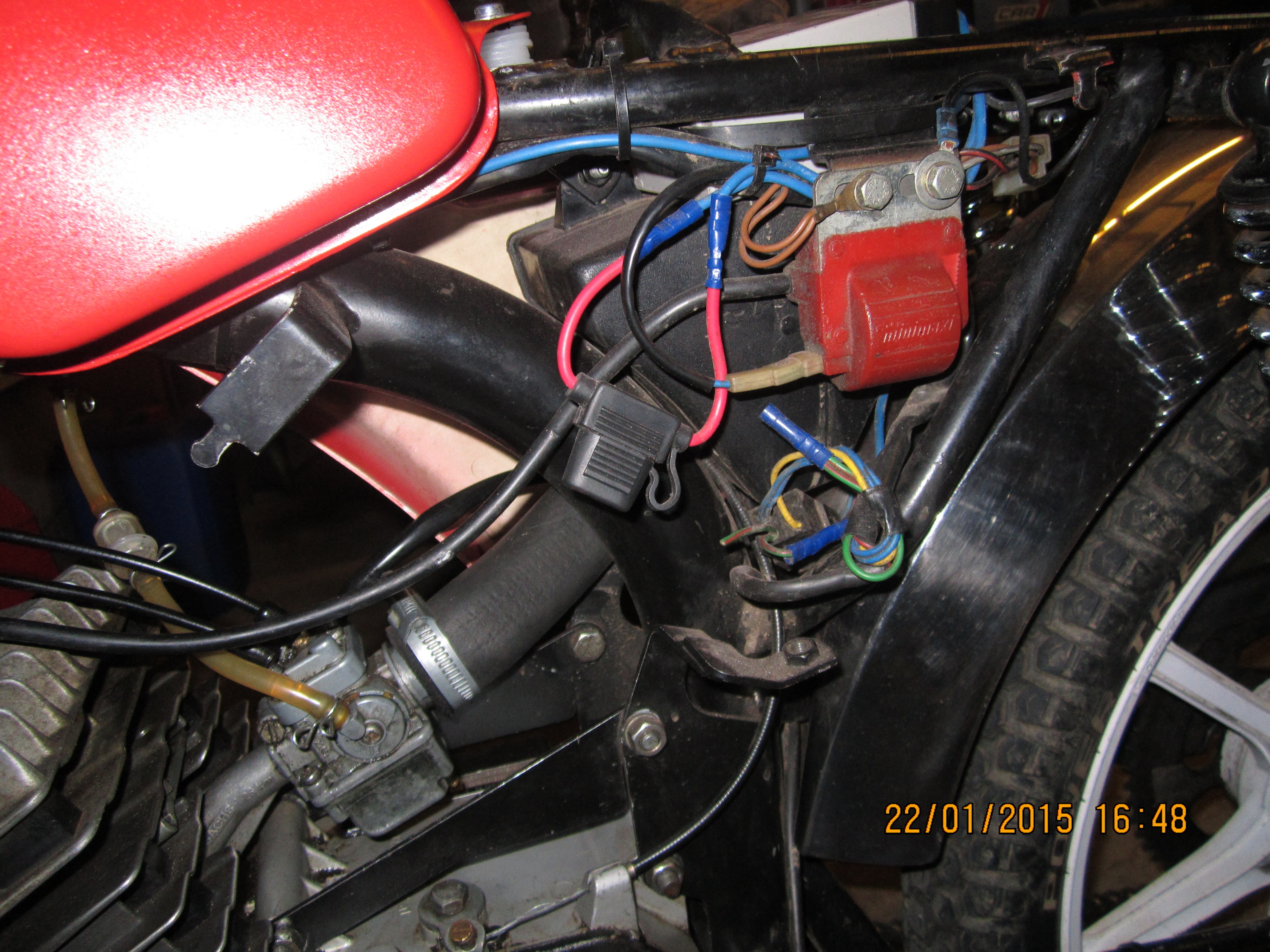 IMG 17342.jpg