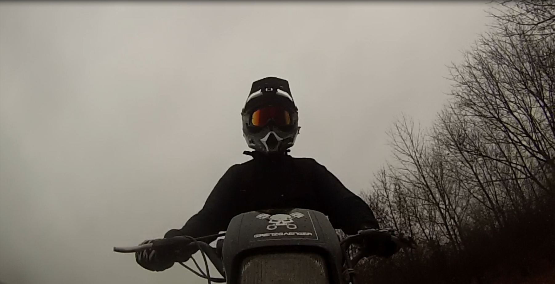 Meine Suzuki TS 50 XK.png