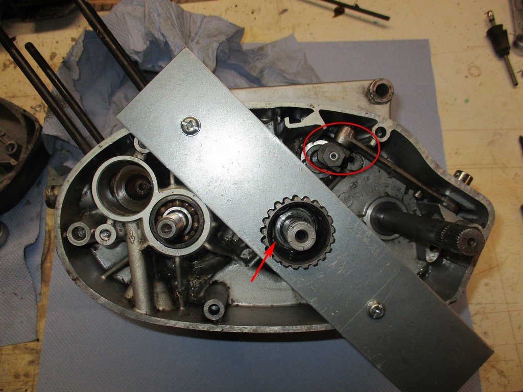 mini IMG 1134.jpg